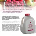 Forever Berry Nectar